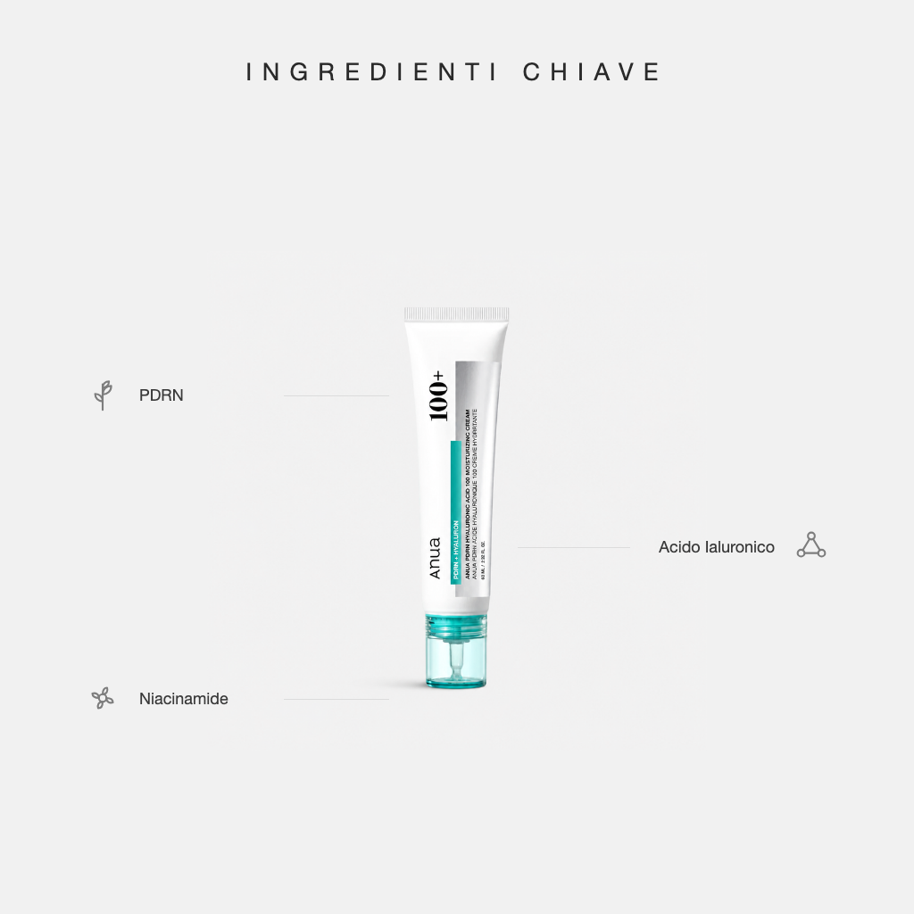 Anua PDRN Hyaluronic Acid 100 Moisturizing Cream - ingredienti chiave
