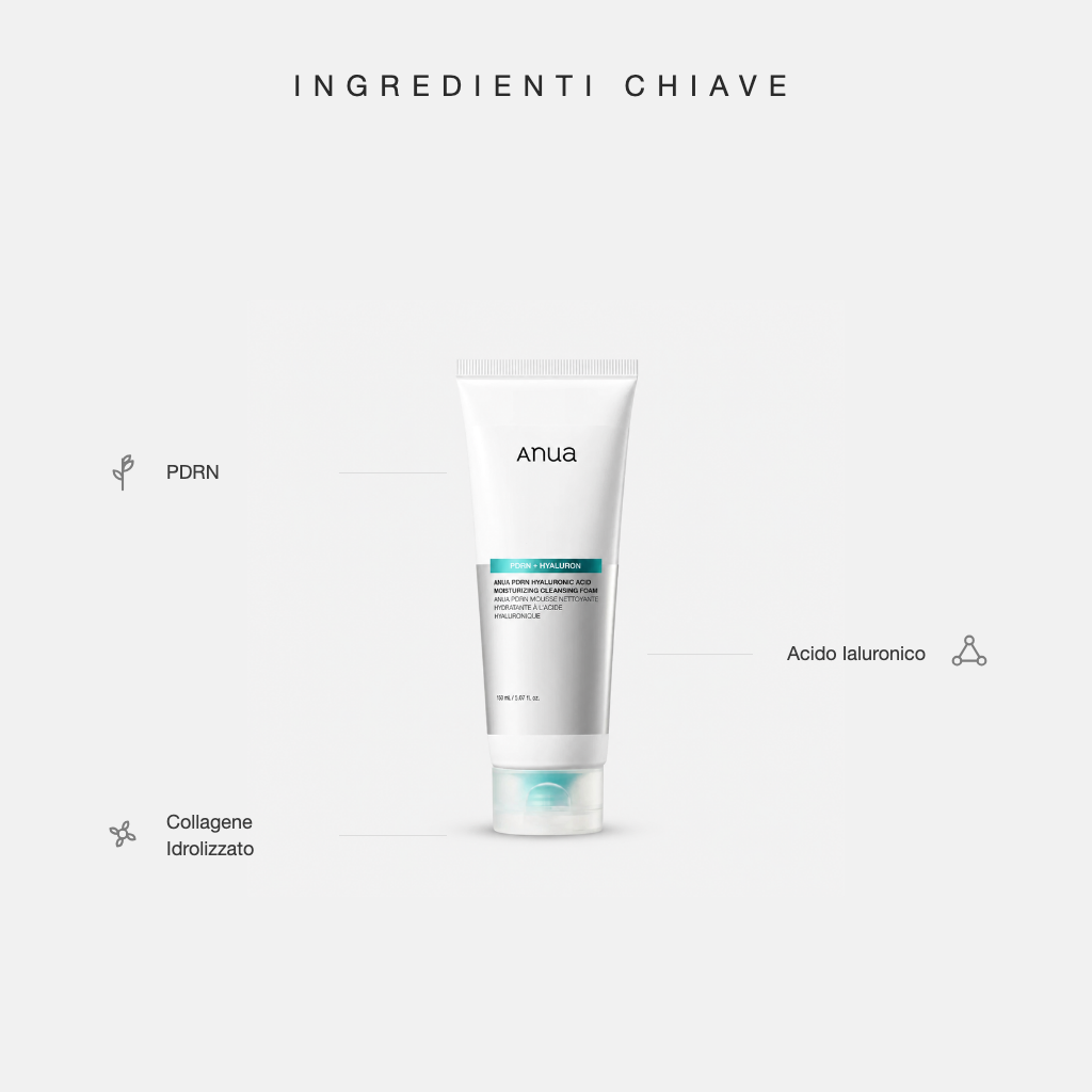 Anua PDRN Hyaluronic Acid Moisturizing Cleansing Foam - ingredienti chiave