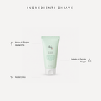 Beauty of Joseon Green Plum Refreshing Cleanser - ingredienti chiave