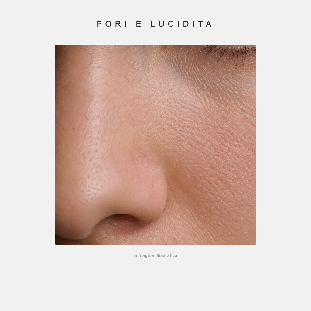 Pori e lucidita - immagine illustrativa