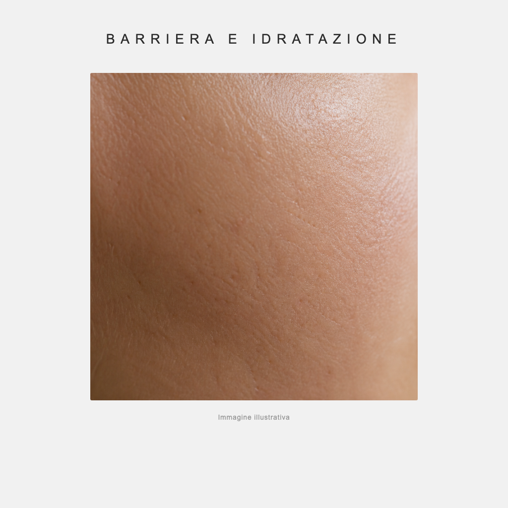 Barriera e idratazione - immagine illustrativa